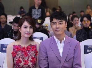 洪欣张丹峰最新爆料,真相大白，情感纠葛再掀波澜